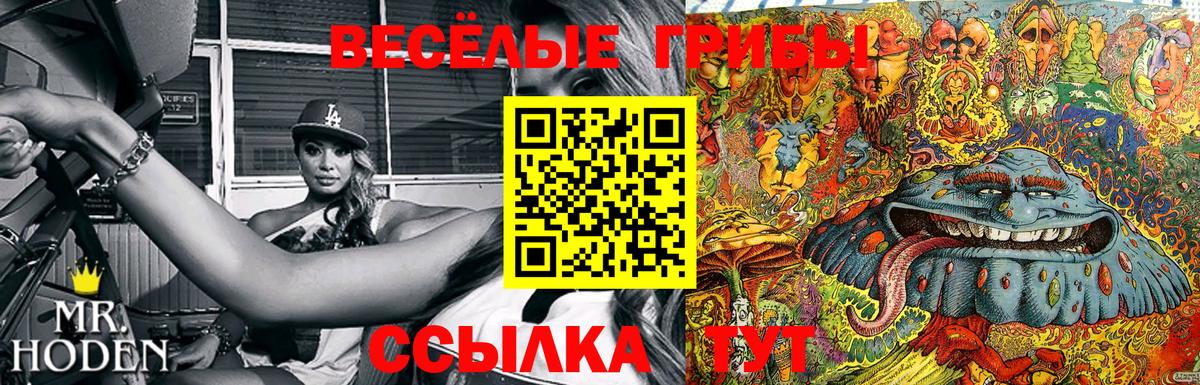 Кудрово  Галлюциногенные грибы ЛСД  Вход с VPN 